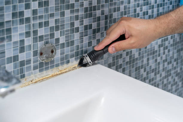 Best Professional Mold Removal  in Shavano Park, TX