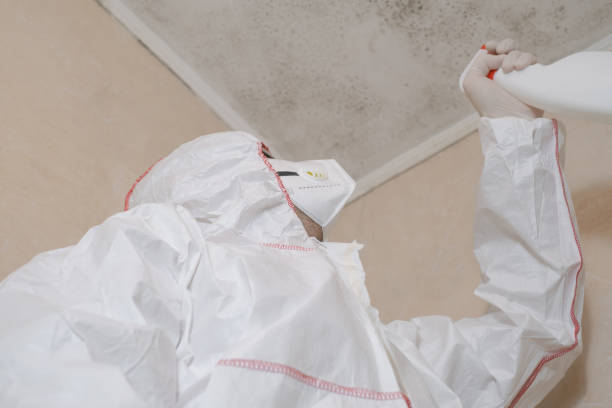 Best Office Mold Removal Services  in Shavano Park, TX